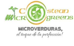 Costean Microgreens