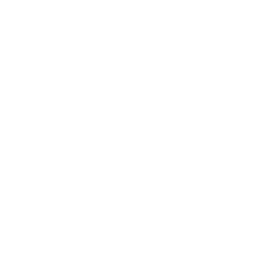 Diseños NT